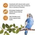 thumbnail image 1 of Living World Sticks, Budgie Treat, Honey Drizzle, 90 G (3.2oz), 1 of 5