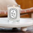 thumbnail image 4 of Ambre Aromatherapy: Unleashes The Warm Aroma of Natural Amber for a and Luxurious Home Experience Diptyque Ambre Diffuser Plastic 1X Diptyque Ambre Diffuser, 4 of 6