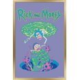 thumbnail image 1 of Rick And Morty - Portal Fall Wall Poster, 22.375" x 34", 1 of 4