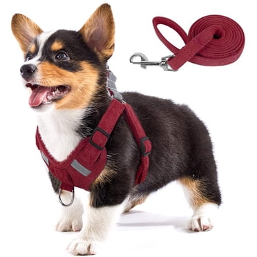 Dog Harness Soft Touch Suede Fabric Pet Vest Step in Adjustable Reflective No Pull Harness for Puppies, Small and Medium Dogs