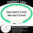 thumbnail image 3 of 3 Pcs LED Pet Collar  Light Up Dog Collars  USB Rechargeable Water Resistant  Outdoor Cuttable Glowing Necklace, 3 of 7