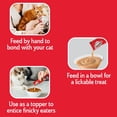 thumbnail image 2 of Delectables Chicken & Tuna Squeeze Up™ Cat Treat 10 Pack, 2 of 5