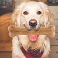 thumbnail image 1 of 8 inch Compressed Rawhides Dog Bones Chewing Snack Food Treats Teething Toy, 1 of 9