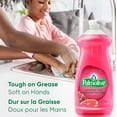thumbnail image 3 of Palmolive Essential Clean Liquid Dish Soap, Grapefruit Pomegranate Scented Dish Detergent, 828 ml bottle, 3 of 7