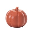thumbnail image 5 of Way to Celebrate Harvest Collection Ceramic Salt and Pepper Shakers, 2 Pieces, 5 of 5