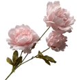 thumbnail image 1 of LCXmlly Sac de Rangement pour Vêtements Simulation Pivoine 3 Têtes Fleur en Soie Réaliste Accessoires Photo, 1 of 6