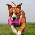 thumbnail image 2 of NERF Dog EXO Squeak Bone Dog Toy 7inch, 2 of 10