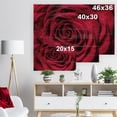 thumbnail image 5 of Design Art - Pétales de Rose Rouges avec Gouttes de Pluie, 5 of 5