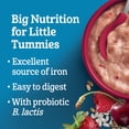 thumbnail image 3 of GERBER Stage 4 Multigrain Cherries & Berries Baby Cereal, 3 of 7