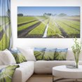 thumbnail image 1 of Beautiful View of Crops Watering - Landscape Canvas Art Print, 1 of 1