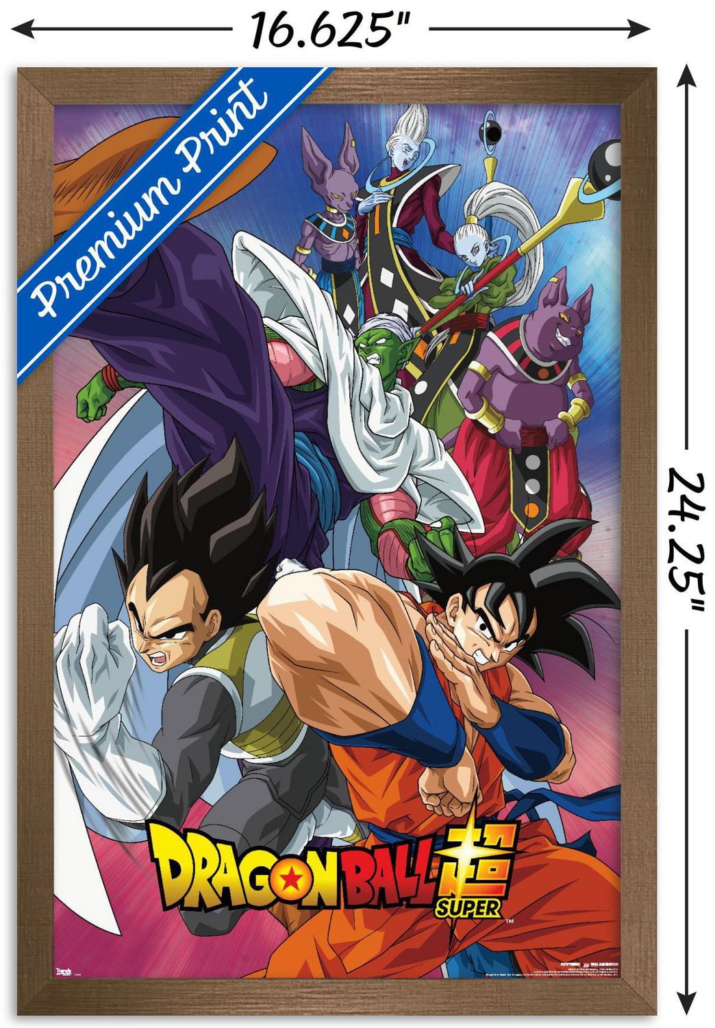Dragon Ball : Super - Groupe