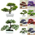 thumbnail image 4 of Luckyn A Simulation Lotus Pine Flower Bonsai Set Small Potted Green Plants, 4 of 6