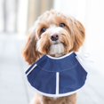 thumbnail image 1 of Pet Recovery Collar Cute Pet Protective Collar Wound Healing Anti Bite Recovery Elizabeth Circle Adjustable For Cat DogS, 1 of 8