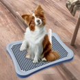 thumbnail image 3 of lionlar Dog Toilet Pee Pad Removable with Urinary Column Keep Clean Washable Puppy Potty Blue, 3 of 9