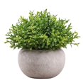 thumbnail image 1 of Artificial Plant Potted Lifelike Round Fake Greenery Plant Faux Plant Decoration, 1 of 10