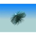 thumbnail image 1 of Lindemann 501132 Wohler 6 Inch PEK Brush, 1 of 3