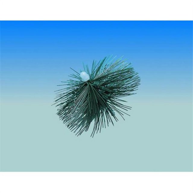 Lindemann 501132 Wohler 6 Inch PEK Brush