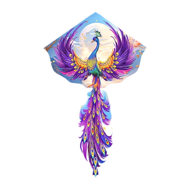 Lipstore Huge Kite Classic Pattern Colorful Large Giant Kites for Props Backyard Trip 140x220cm