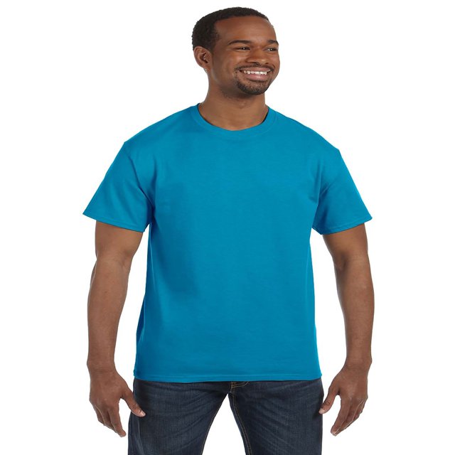 Hanes Men's Authentic-T T-Shirt