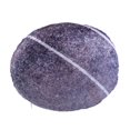 thumbnail image 1 of Truu Design Decorative Natural Stone Pebble Shaped Microplush Pillow, Grey, 22 x 22 inches, 1 of 1