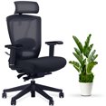 thumbnail image 1 of Aery Chair - Ergonomic Mesh Office Chair, 1 of 8