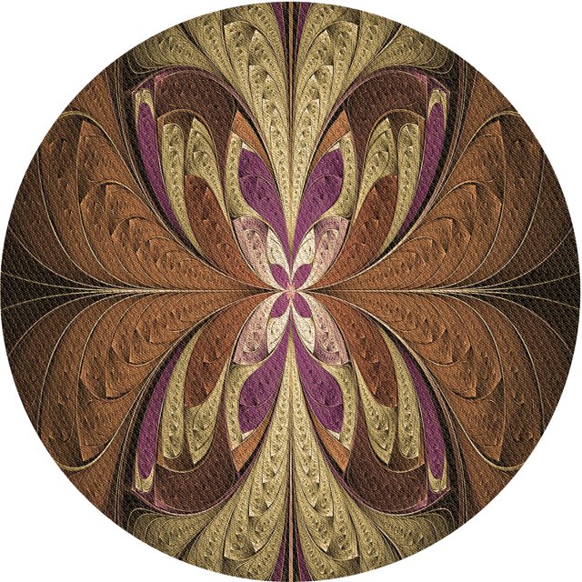 Ahgly Company Tapis d'Intérieur Ronds Transitionnels Brun Pâle Lavables à la Machine, 6 Pieds Rond