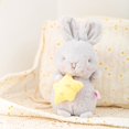 thumbnail image 1 of EIMELI BuleStore Follure Creative Toy Star Carrot Rabbit Doll Bunny Plush Toy Baby Comfort Doll, 1 of 3