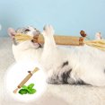 thumbnail image 4 of Chew Sticks for Feline Hygiene and Playful Entertainment, 4 of 5