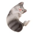thumbnail image 3 of Xingzhi Simulation Animal Model Kids Educational Toys panda side sleeping PL127-1516, 3 of 5