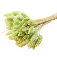 thumbnail image 1 of Coofit Dry Flower Branch DIY 24PCS Simple Natural Dried Grass Stem Dry Grass Decor, 1 of 8