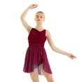 thumbnail image 1 of LiiYii Robe de Ballet Sans Manches en Maille Fluide pour Femmes Costume de Danse Lyrique pour Performance sur Scène Rouge Vin TTG, 1 of 8