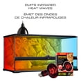 thumbnail image 4 of Ampoule à infrarouge Exo Terra pour lézarder, R25, 100 W, 4 of 6
