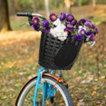 thumbnail image 1 of Mobutofu black wicker bike basket Plastic 1Pack, 1 of 7