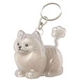 thumbnail image 2 of Suncoda Storage Keychain, Keychain for Collecting Dog, 2 of 3