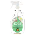 thumbnail image 1 of Earth Friendly Stain and Odor Remover Spray - 22 fl oz, 1 of 1