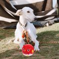 thumbnail image 2 of OULII Jouet pour Chien Tête Ronde Canard Qui Couine Latex Rouge pour Jouer 1Pcs 2.76*2.56*2.56 Po, 2 of 8