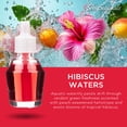 thumbnail image 4 of ScentSationals d'huile ScentCharm - Eaux d'hibiscus, 4 of 6