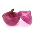 thumbnail image 3 of Oignon Frais : Solution de Rangement Intelligente pour la Fraîcheur et l'Organisation du Frigo Sac en Maille Fermeture Éclair Aliments Supports de Sacs de Rangement pour Aliments Contenants Zippés Contenants à Sandwich Autoportants Sacs à Sandwich de Noël Refermables, 3 of 3