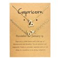 thumbnail image 1 of Dvkptbk A Necklace Twelve Constellation Necklace Bracelet Set Constellation Card Necklace Jewelry, 1 of 1