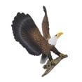 thumbnail image 4 of GROWTH TANK Animaux Réalistes Oiseau Modèle de Collection Figurine Modèle pour Ornement - Aigle#1 Aigle 1, 4 of 7