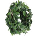 thumbnail image 4 of FRCOLOR Fairy Lights for Room Decor with Green PVC Vine Leaves and Copper Wire 2 Meter 20 LED,78.74"X1.97"X1.18", 4 of 4