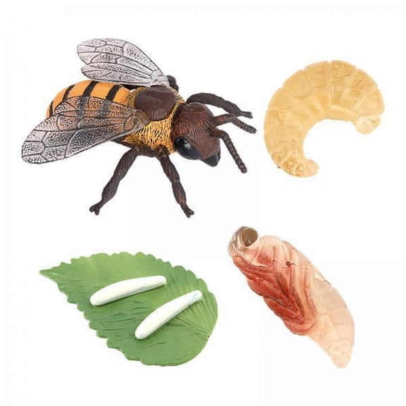 lionlar 2-3 of pack Animals Life Cycle Model Toy Growth Cycle Children Toys Bee 2 Pcs