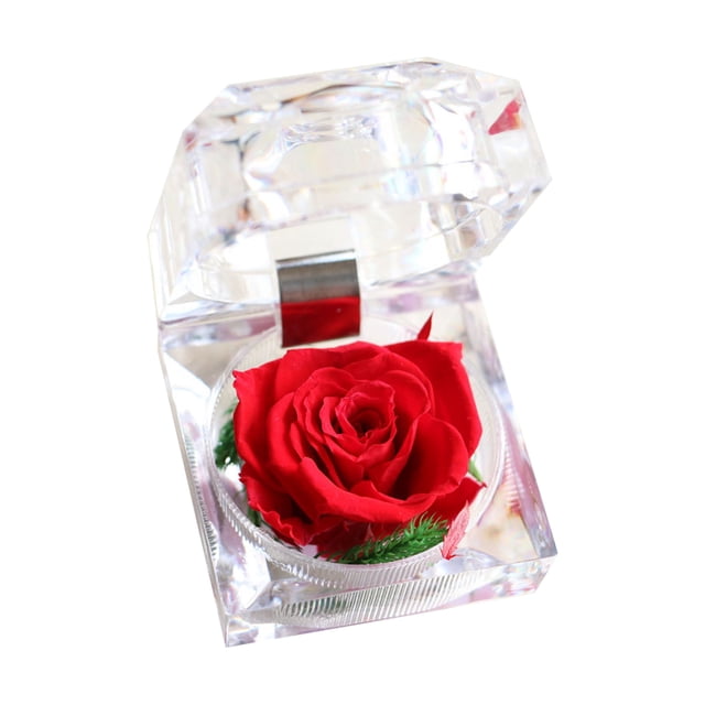 Amdohai Rose Véritable Préservée dans une Boîte Transparente Parfumée à la Rose Éternelle. une Rose Rouge Préservée Vibrante Exposée dans une Boîte en Acrylique transparent avec Couvercle à Charnière, Mettant en Valeur Ses Pétales Réalistes et des Détails Délicats. la Conception Compacte Mesure Environ 5 cm de Chaque Côté, la Rendant Adaptée à la Déco de la Maison, aux Mariages Ou comme Cadeau Romantique pour des occasions comme la Saint-Valentin, les Anniversaires Ou la Fête des Mères.
