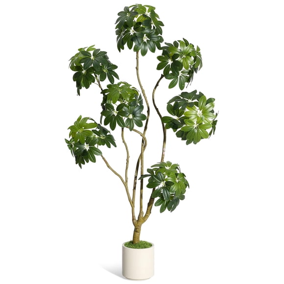 5FT Umbrella Artificial Tree with White Planter Pot,Multi-Trunk Faux Umbrella Floor Plant with Natural Wood Trunks in White Decorative Planter,Natural Curved Trunk for Home Offices Porch Decor