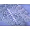 thumbnail image 1 of Ahgly Company Machine Washable Indoor Rectangle Transitional Day Sky Blue Area Rugs, 7' x 9', 1 of 7