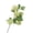 B, variant on Faux Hydrangea Flowers, 31" Artificial Hydrangea Spray with 5 Flower Heads, Faux Hydrangeas Plastic Flowers Fake Hydrangeas for Indoor Outdoor Wedding Table Centerpieces Decor (White/1 Bouquet)