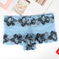 thumbnail image 2 of FhsagQ Panties Plus Size Panties for Women Yellow Women Lace Transparent Contrast Rose Pattern Triangle Underpants Panties for Women 2 Piece Cotton Light Blue XL, 2 of 6