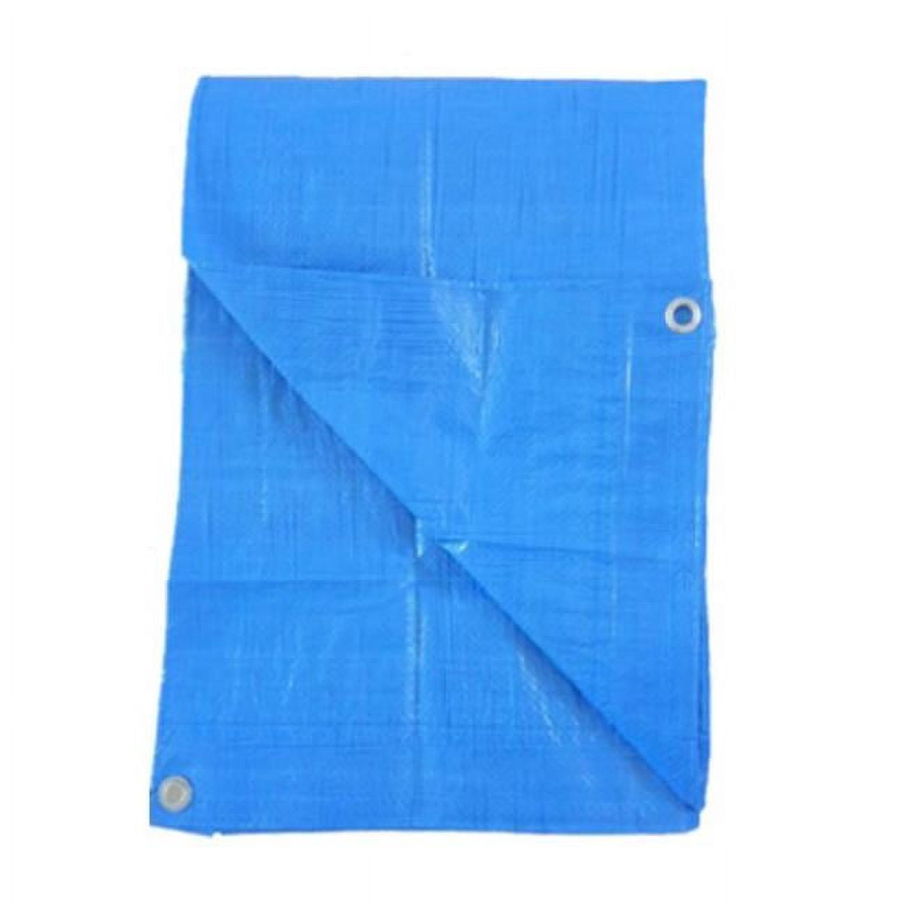 Tru-Guard 100789 Bâche de Rangement en Polyéthylène 16 x 20 Po, Bleu Pâle