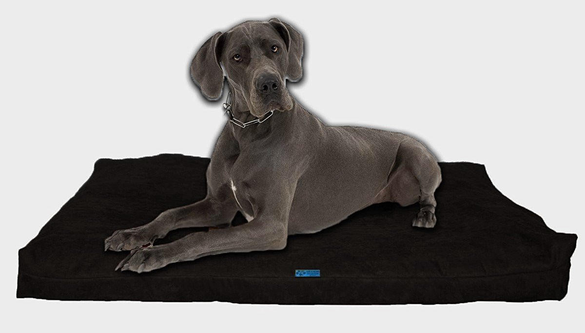 Five Diamond Collection Shredded Memory Foam Orthopedic Dog Bed, Made In USA (Black,Extra Large Breed Dogs, 55" x 37")