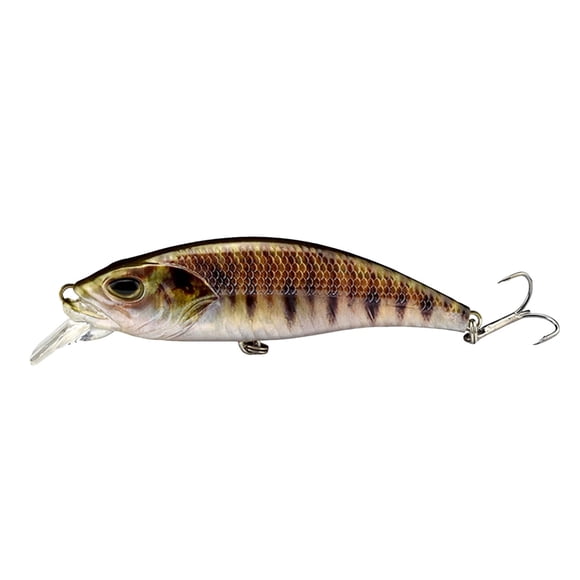 Hearth & Gear Natation 3D Natation Réutilisable Pêche Qui Nage par Elle-Même Pêche Convenant à Toutes Sortes d'Eaux Cannes Baitcaster 1 Pce Moulinets Baitcaster Ronds Combo Baitcaster Canne Baitcaster